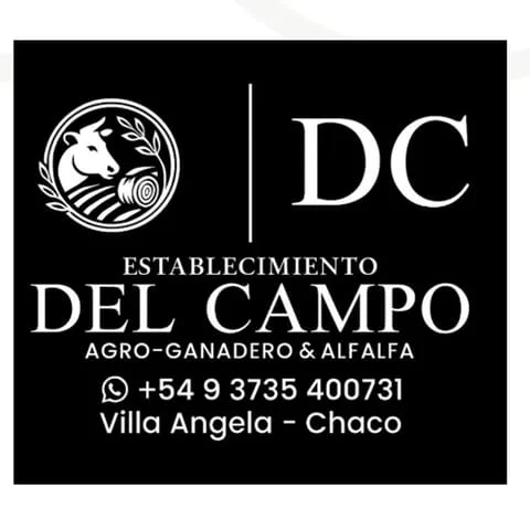 Establecimiento Del Campo